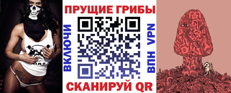 как найти   KRAKEN маркетплейс  Псилоцибиновые грибы Magic Shrooms  Белёв 